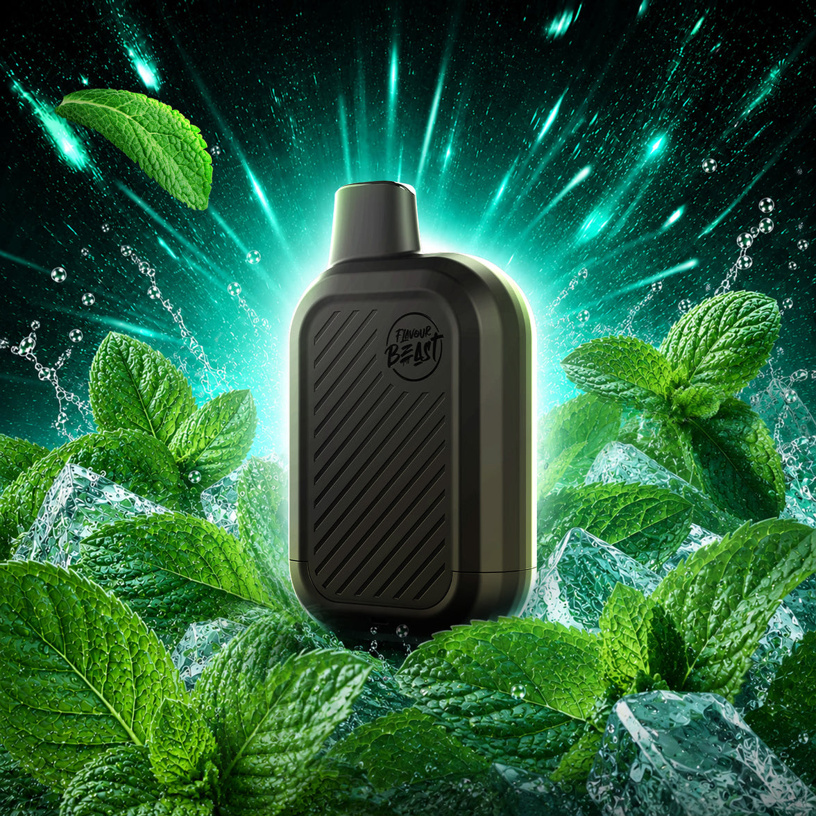 FLAVOUR BEAST 6k PUFFS